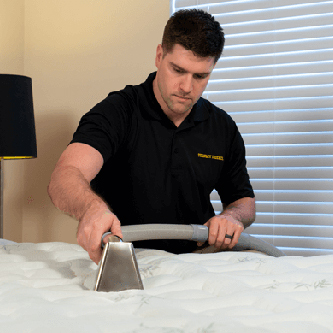 carpet cleaning in the suffolk, carpet cleaning in the suffolk, carpet cleaning the suffolk, carpet cleaners in the suffolk, carpet cleaners in the suffolk, commercial carpet cleaning, commercial carpet cleaning in the suffolk, the suffolk rug cleaners, rug cleaning services in the suffolk, same day carpet cleaning, same day rug cleaning