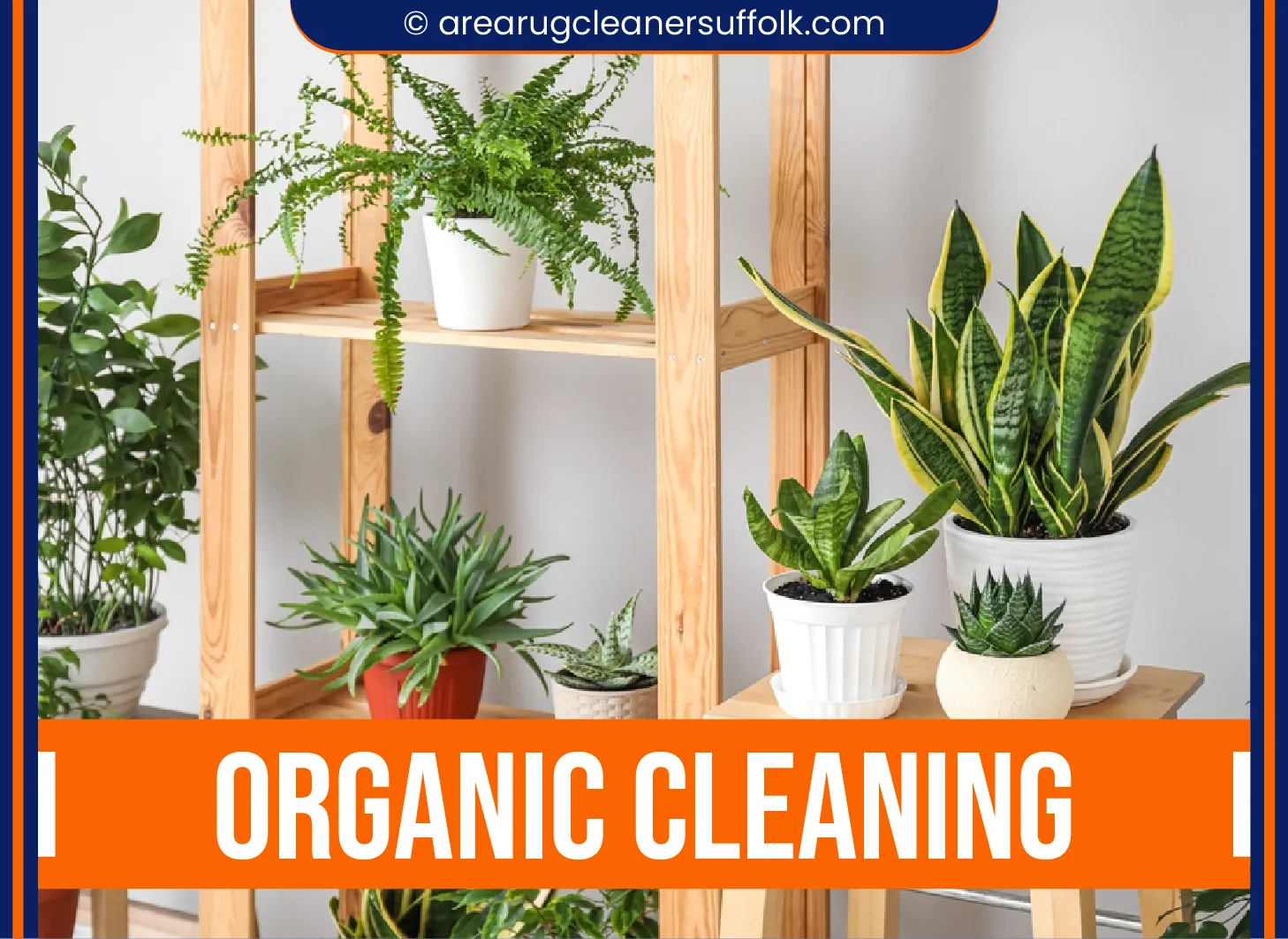 carpet cleaning in the suffolk, carpet cleaning in the suffolk, carpet cleaning the suffolk, carpet cleaners in the suffolk, carpet cleaners in the suffolk, commercial carpet cleaning, commercial carpet cleaning in the suffolk, the suffolk rug cleaners, rug cleaning services in the suffolk, same day carpet cleaning, same day rug cleaning